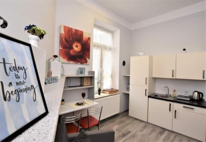 Studio W Sercu Miasta Przemyśl Buitenkant foto
